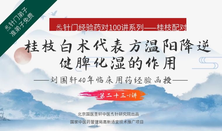 《Z6411-qz-刘国轩药对100讲-第二十三-1讲：桂枝白术配伍的代表方-温阳降逆健脾化湿的作用》