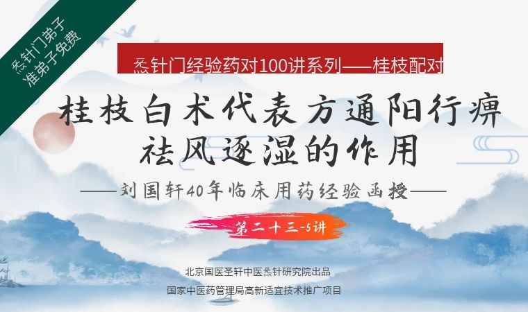 《Z6415-qz-刘国轩药对100讲-第二十三-5讲:桂枝白术配伍的代表方-通阳行痹祛风逐湿的作用》