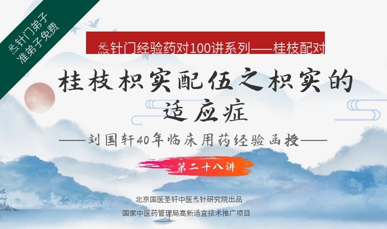 《Z6421-qz-刘国轩药对100讲-第二十八讲：桂枝枳实配伍-枳实的适应症》