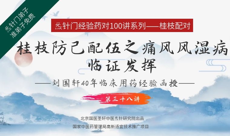 《Z6442-qz-刘国轩药对100讲-第三十八讲-桂枝防己配伍的功能与作用-痛风风湿病临证发挥》