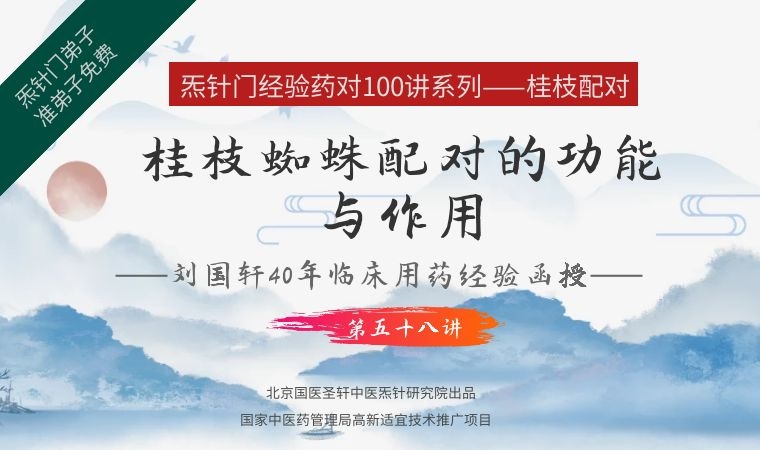 《Z6463-qz-刘国轩药对100讲-第五十八讲-桂枝蜘蛛配对的功能与作用》