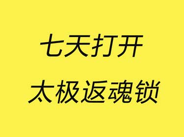 《Z4916-谢明太极课堂-初级课零基础七天打开太极返魂锁自己开锁不求人永久收看》