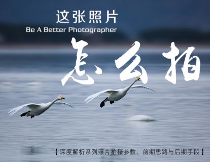 【捐赠9.9[红包]·《Z5056-好机友摄影-从参数、构图到后期思路，告诉你这张照片怎么拍》】