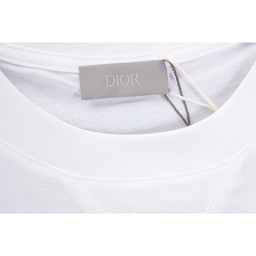 Dior/迪奥 23ss 刺绣银标logo短袖