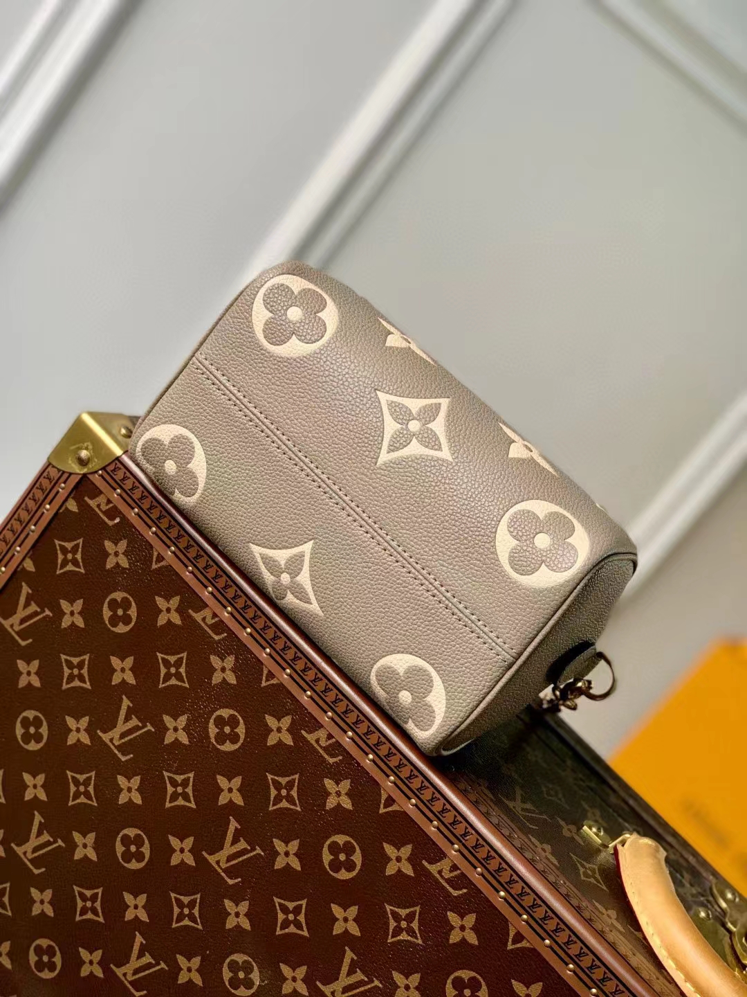 Louis Vuitton Luxury Handbag Collection 3