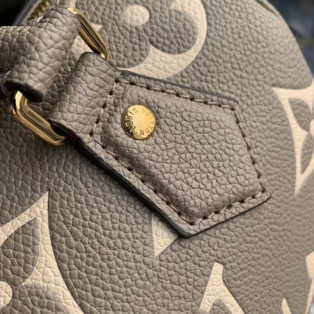 Louis Vuitton Luxury Handbag Collection 4
