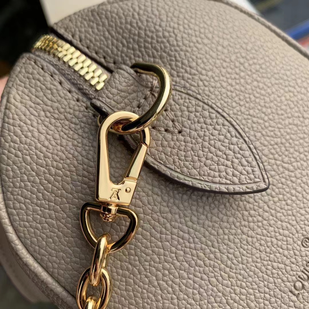 Louis Vuitton Luxury Handbag Collection 6