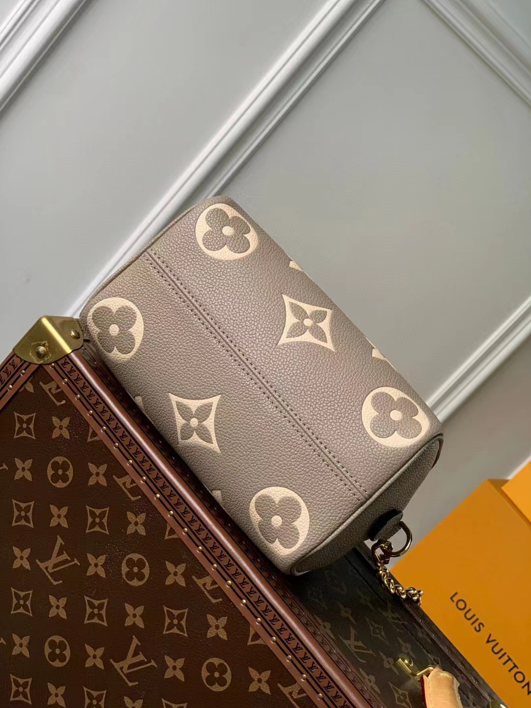 Louis Vuitton Luxury Handbag Collection 7