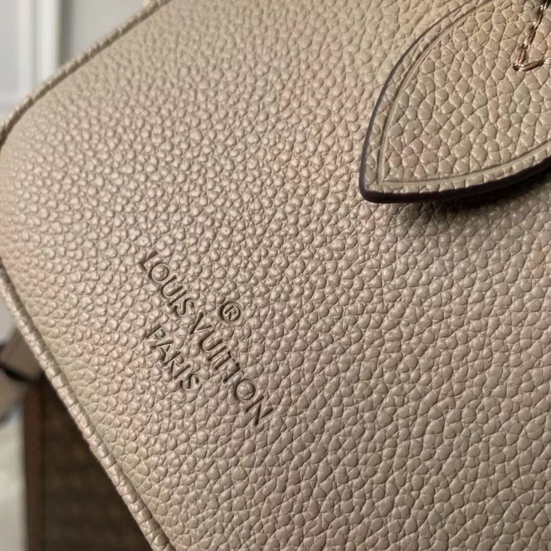 Louis Vuitton Luxury Handbag Collection 8