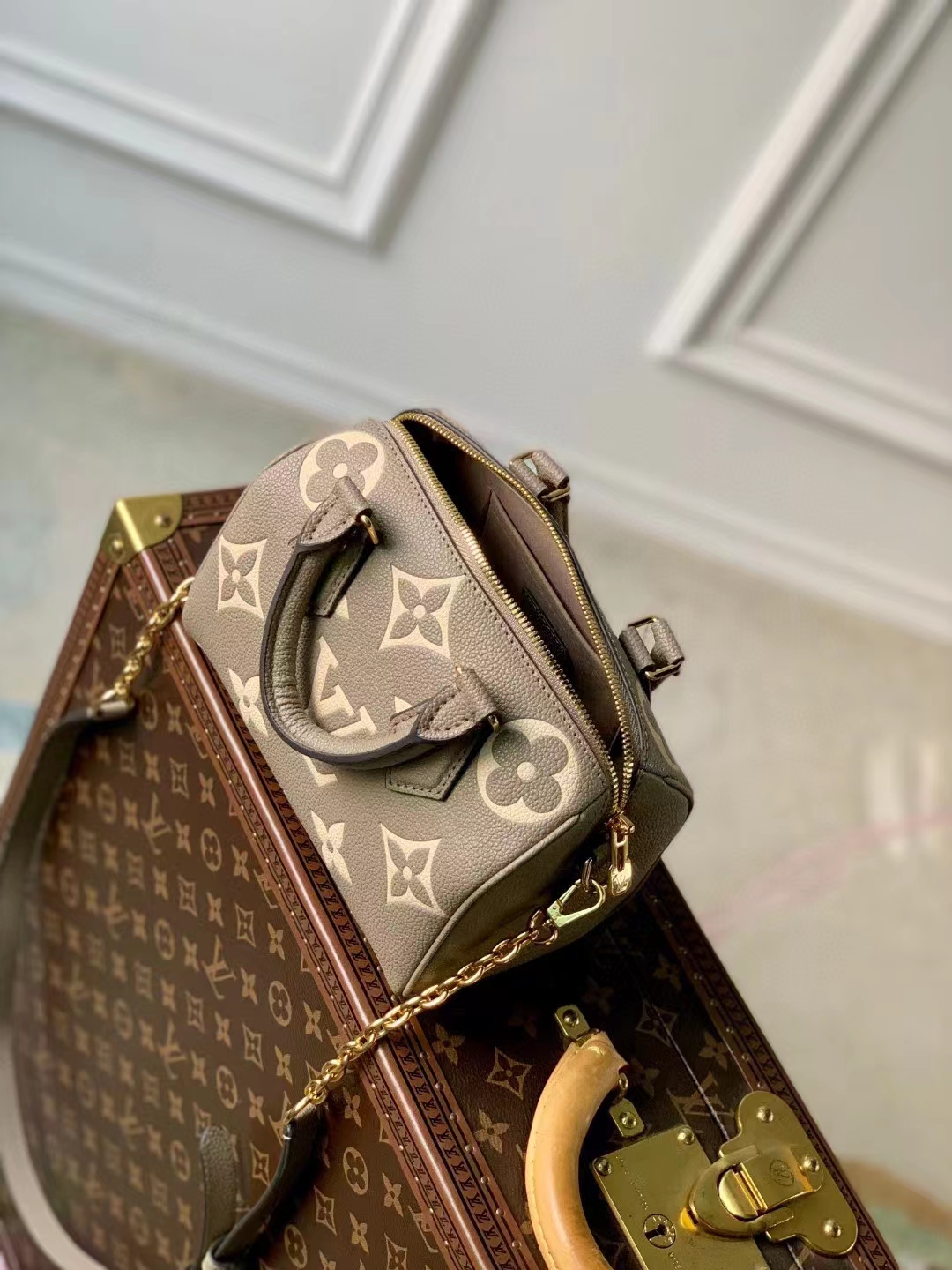 Louis Vuitton Luxury Handbag Collection 9
