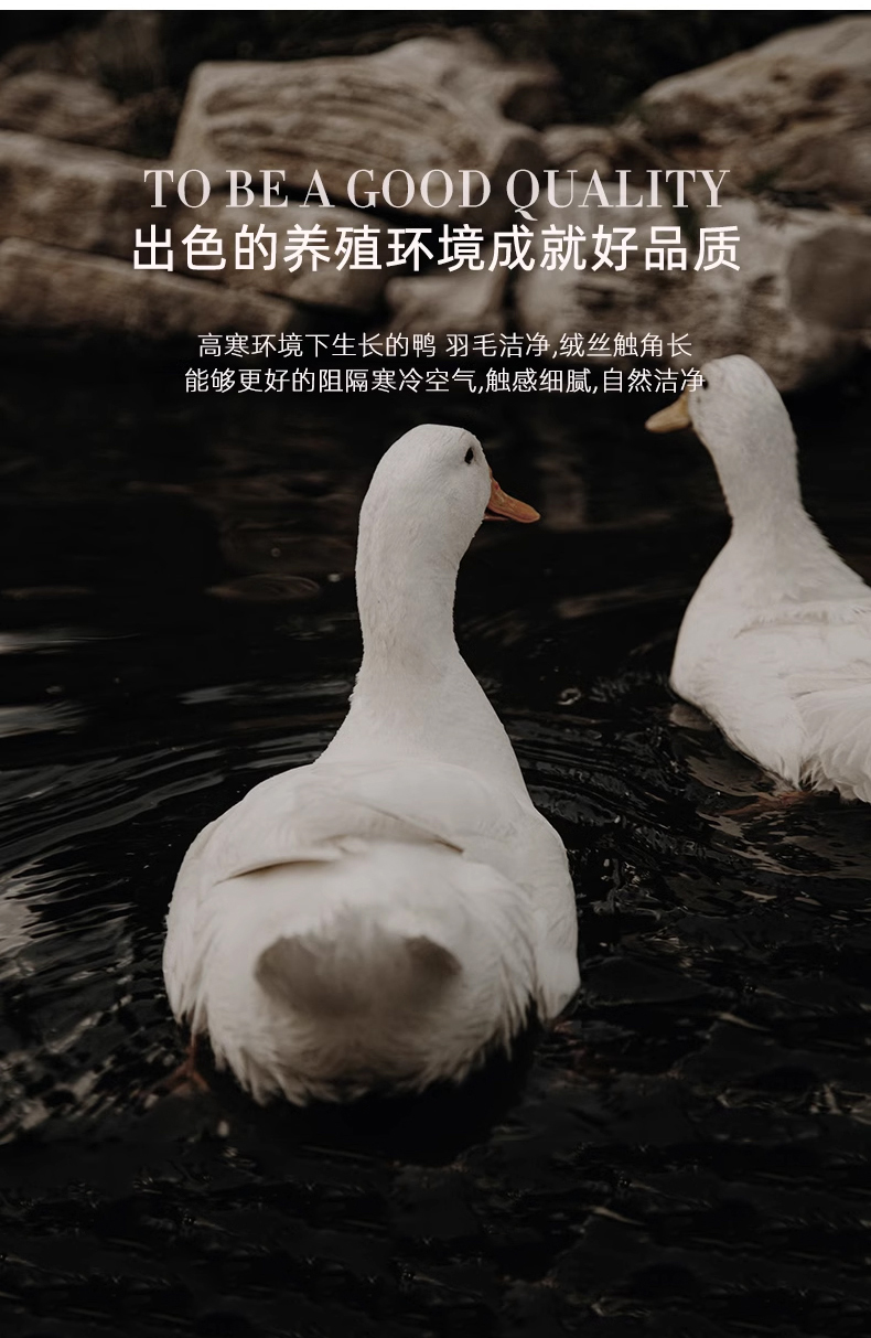 路易威登 Louis Vuitton 高定典藏名品高定成衣时装外套连衣裙衬衫T恤 #7F6B2281 6