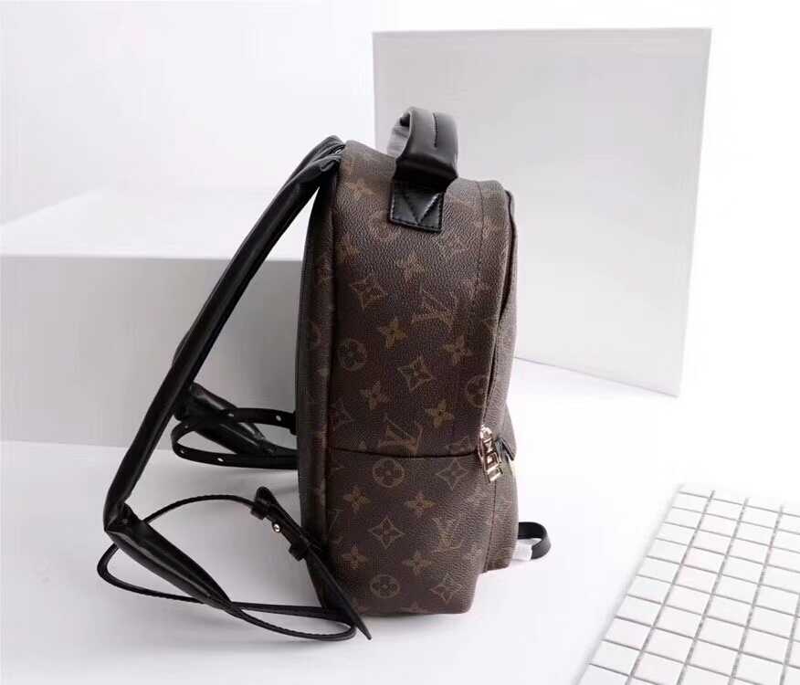 Louis Vuitton M41560 Monogram 20 31 10cm everyday