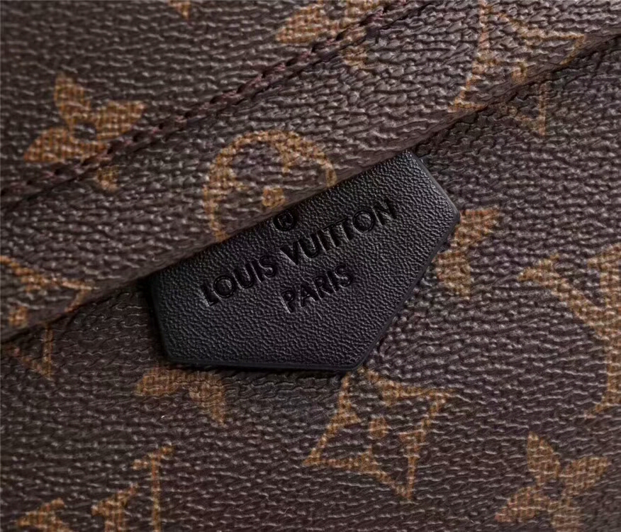 Louis Vuitton M41560 Monogram 20 31 10cm everyday
