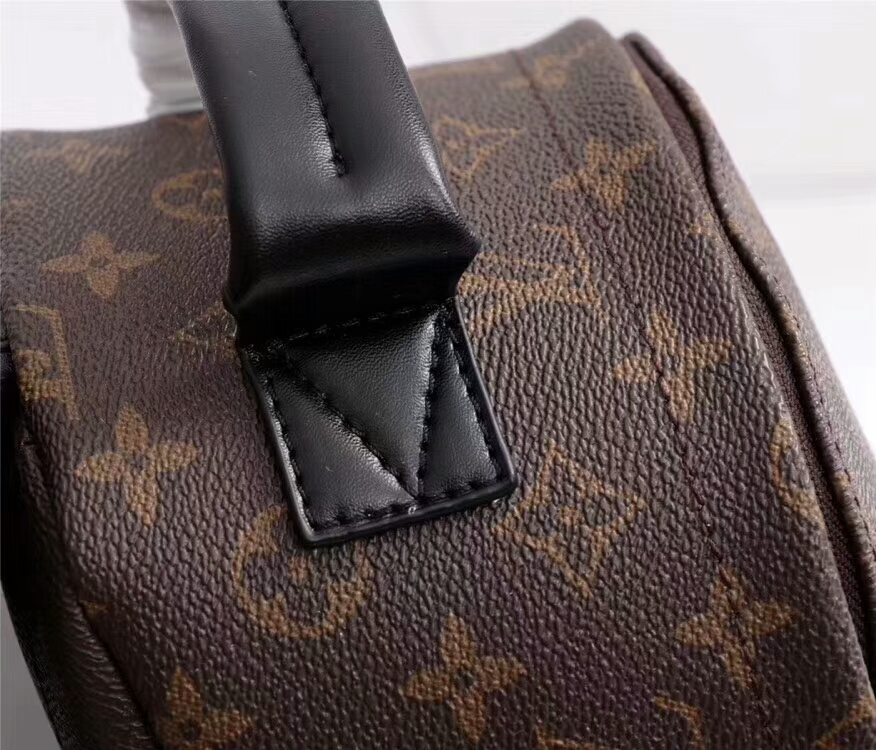 Louis Vuitton M41560 Monogram 20 31 10cm everyday
