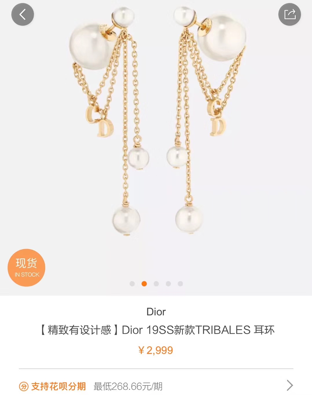 Dior Jewelry Earring Chains