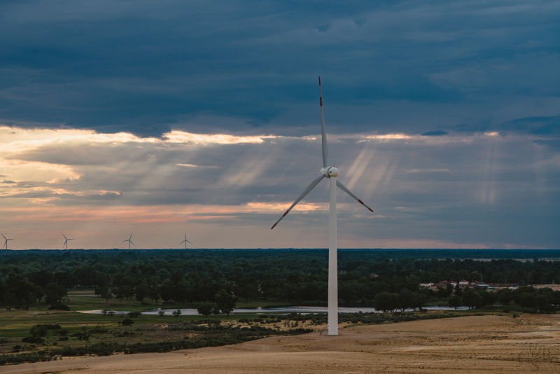《YL2481-新学未在线-小学语文2-6年上下册》
