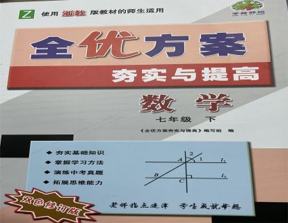 《YL2515-点线面文化传媒-数学郑老师《全优方案》7年级下册》