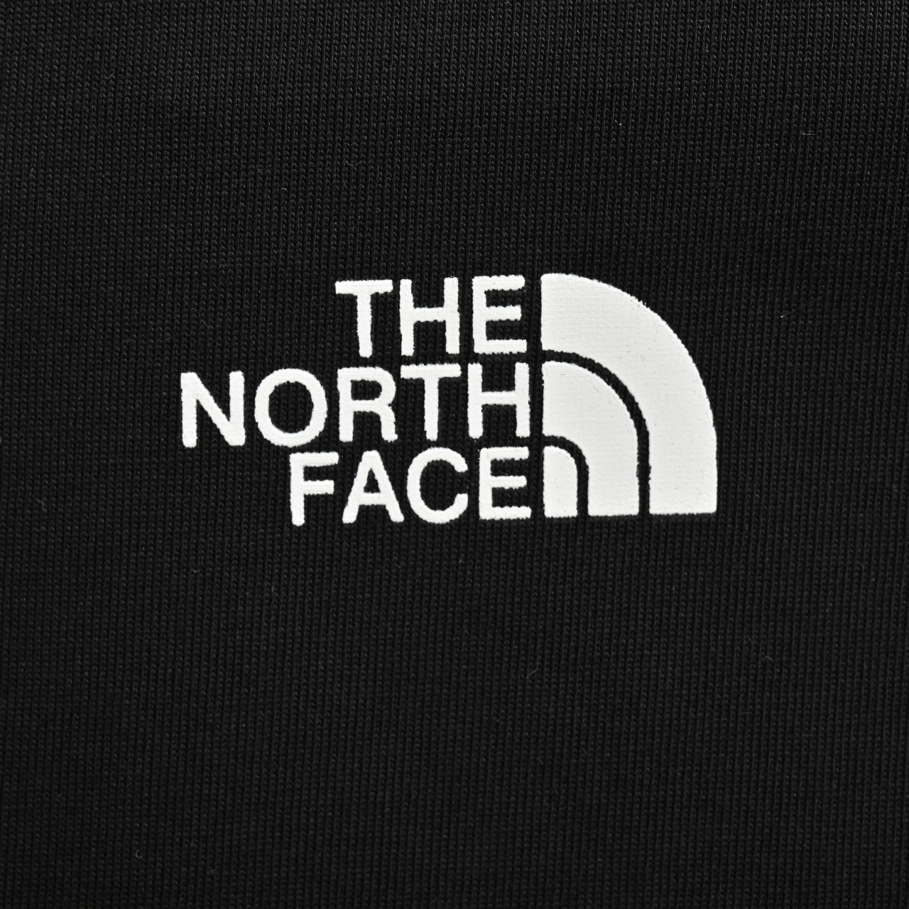 TheNorthface北面2024夏季款情雪山森林印花T恤