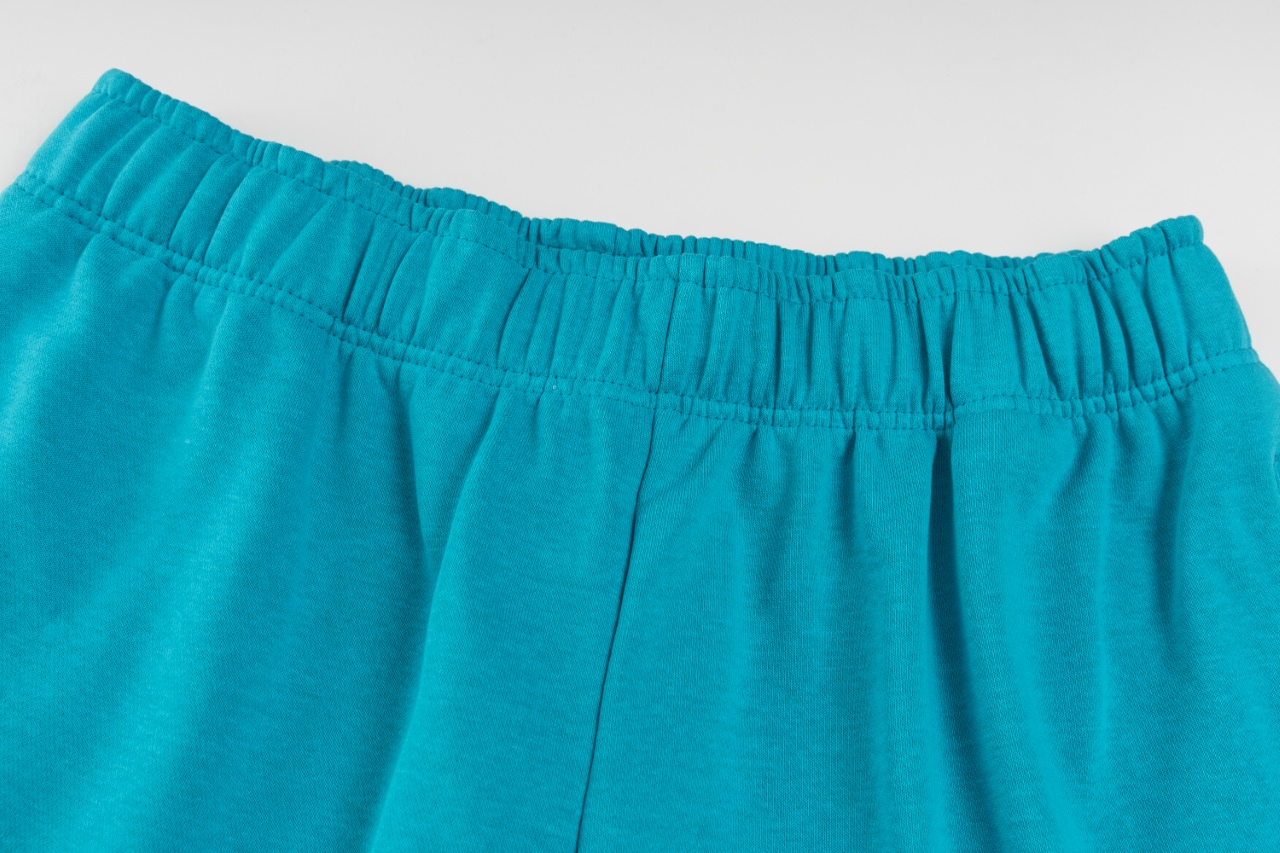 ALO Shorts Clásicos de Verano para Mujer, Cintura Elástica, Múltiples Colores 4 windows1749250585078 4816798631909602602
