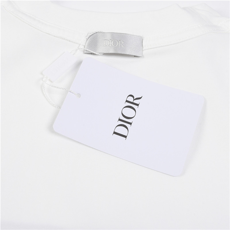 Dior/迪奥CD 24ss 蓝色条纹字母刺绣短袖T恤