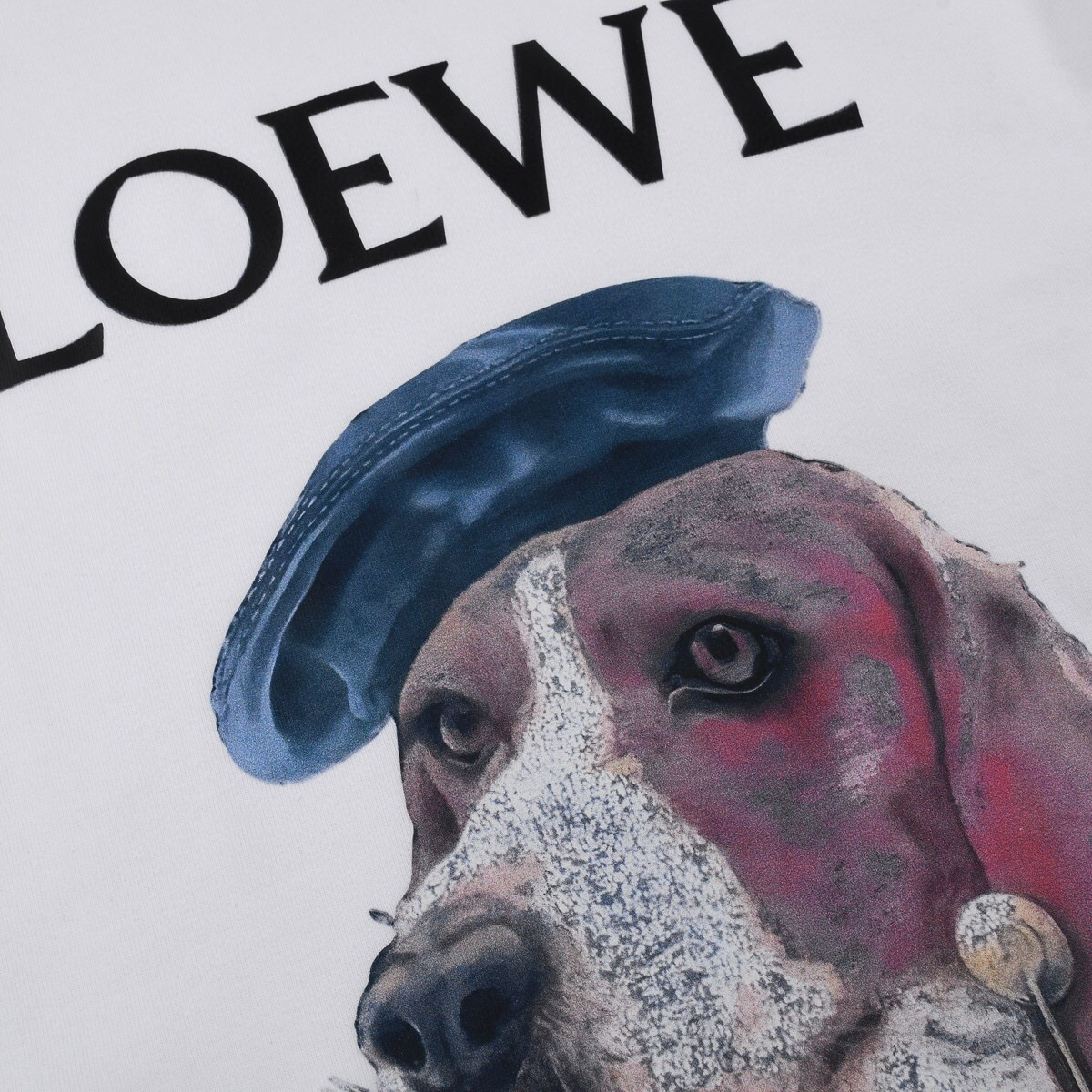LOEWE 罗意威印花圆领毛圈卫衣 2