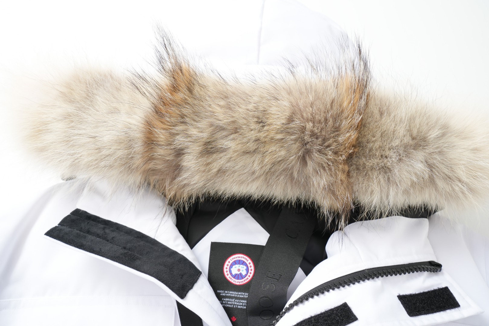 Canadian Goose Expedition: High-End Winter Gear for Arctic Adventures - 图片 3
