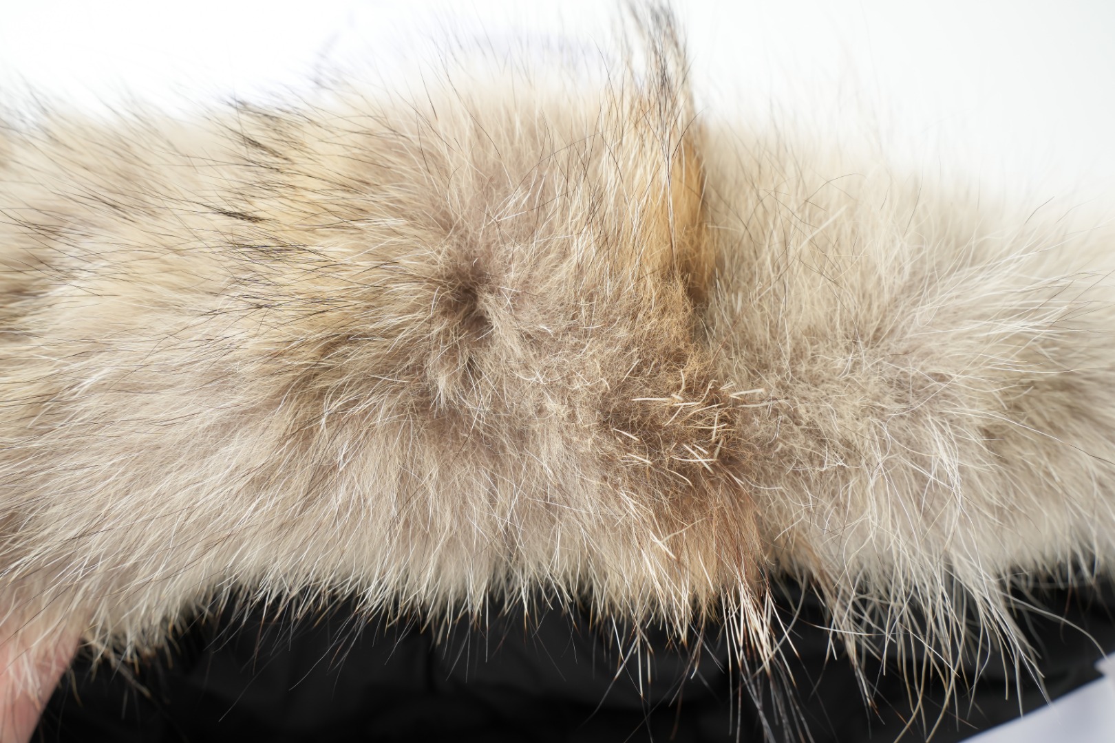 Canadian Goose Expedition: High-End Winter Gear for Arctic Adventures - 图片 4