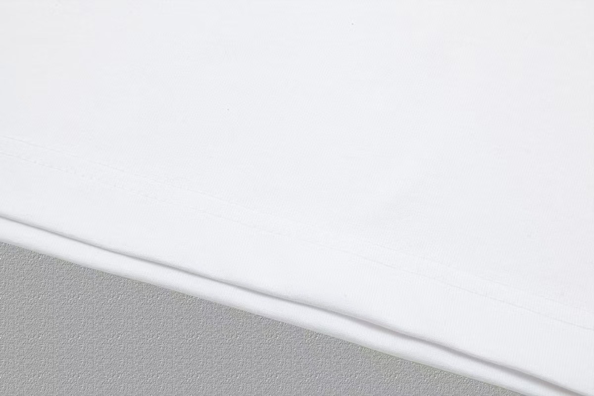 High-End 2025FW Short Sleeve T-Shirts with Logo Thickboard and Heavy-Pound Fabric - 图片 6