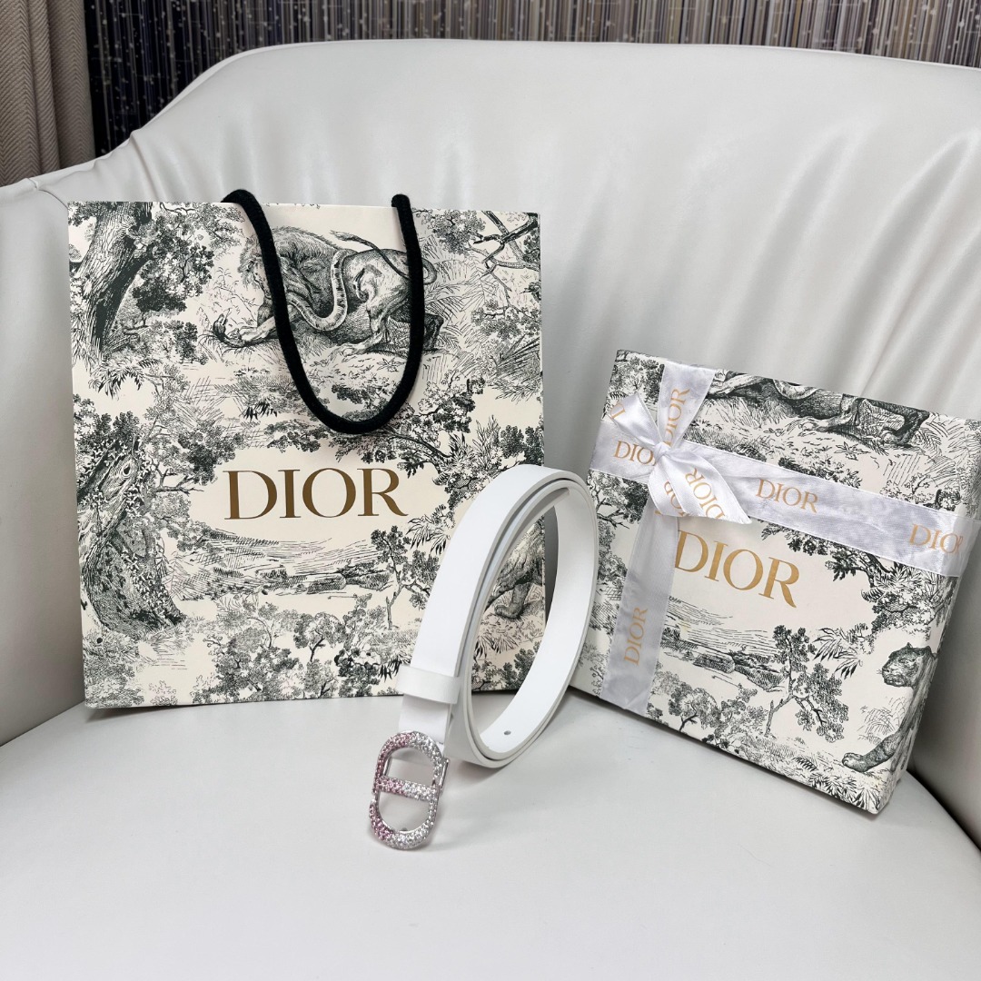 Dior White Leather Belt with Crystal CD Buckle - Spring/Summer Collection 10 o 1i731d2hjnkn9gp15nd1ddledv9