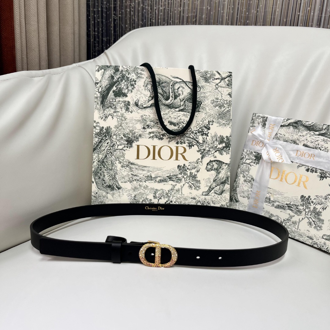 DIOR Spring/Summer Black Leather Belt with Pink Gradient Crystal Buckle 2 o 1i731ud1nnvo140g1ub017ch1j0n1g