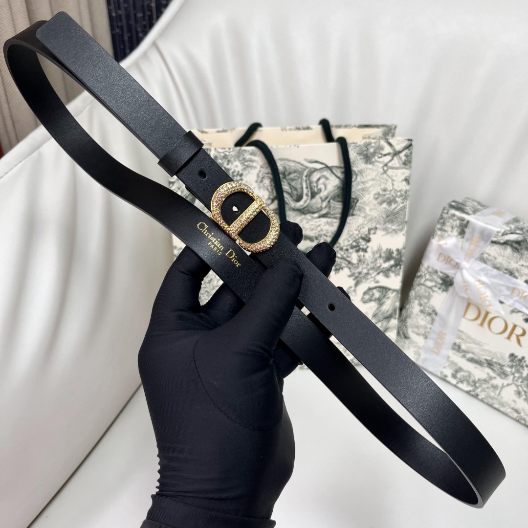 DIOR Spring/Summer Black Leather Belt with Pink Gradient Crystal Buckle 4 o 1i731ud1o1ope16o71hl015kl1o561i