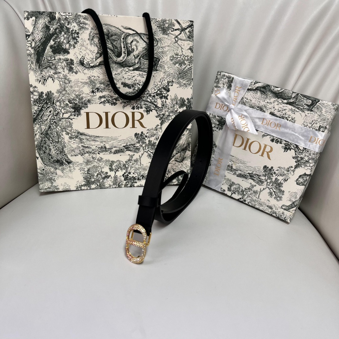 DIOR Spring/Summer Black Leather Belt with Pink Gradient Crystal Buckle 10 o 1i731ud1p1926eqb18uj1642pbv1o