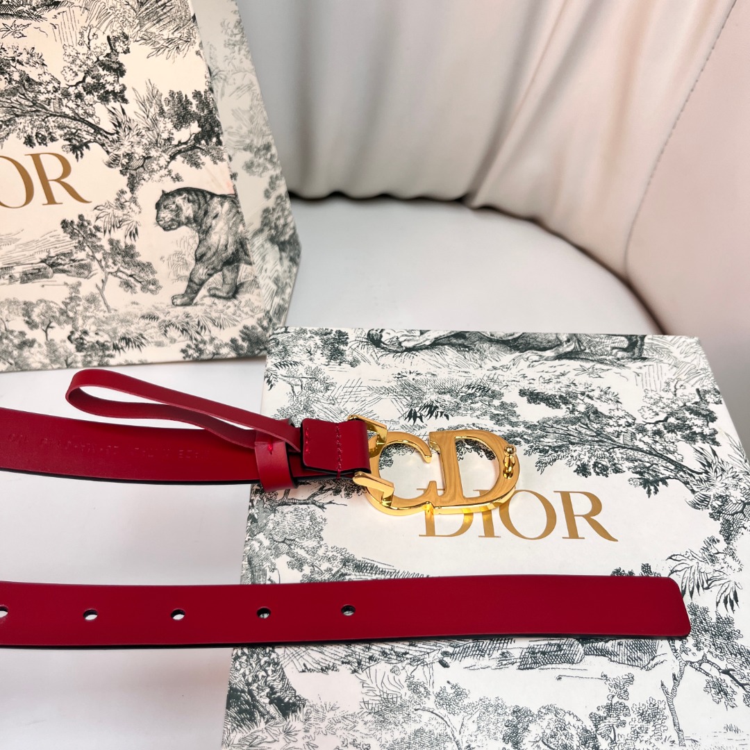 DIOR Red Leather Belt with Enamel Buckle - Elegant and Stylish 4 o 1ickqpblvrvgruu18u972t1dks2s