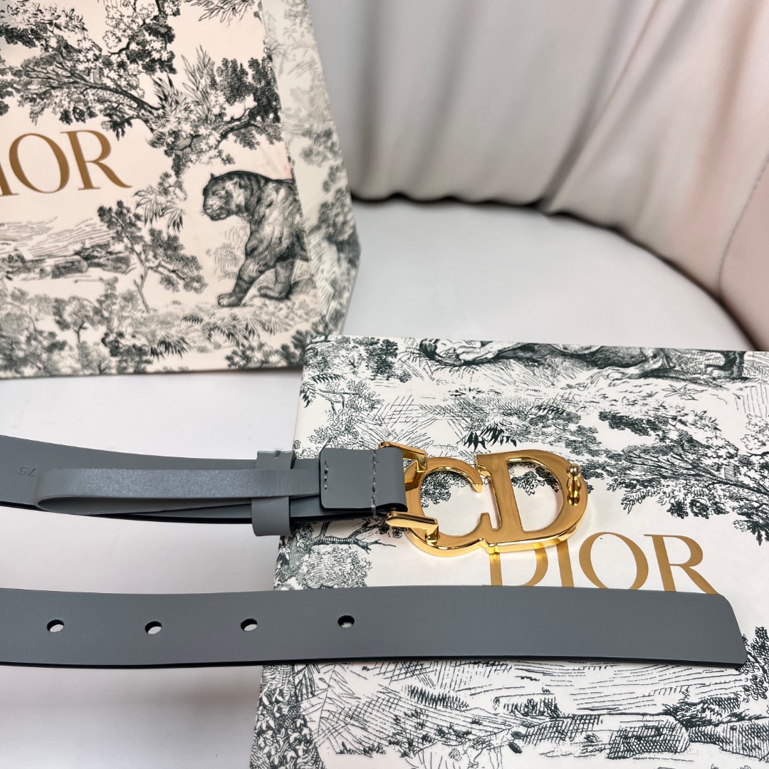 Dior 2.0cm Women's Belt with CD Buckle - Exquisite Leather & Enamel Design 4 o 1ickqvouv1b6b7e21bh91f821hll40
