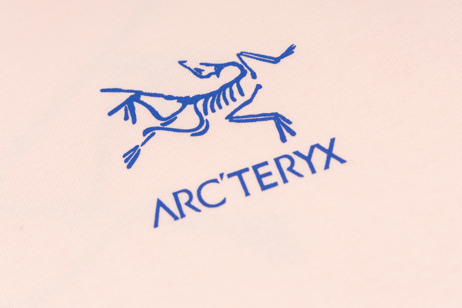 上新 P70
Arc Teryx  始祖鸟
2024ss短袖T恤  小鸟字母LOGO印花短袖
高端32s双纱280克面料
重磅面料 定制拉架罗纹同缸同染 三标齐全 男女同款 
尺码： S M L XL