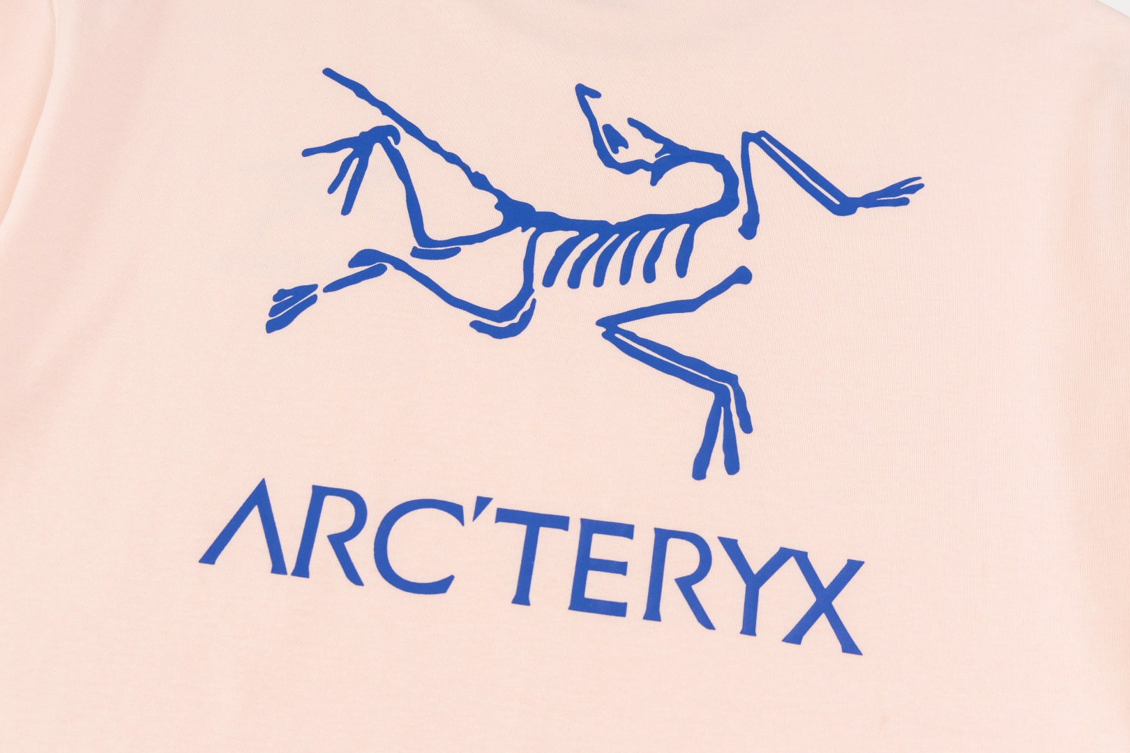 上新 P70
Arc Teryx  始祖鸟
2024ss短袖T恤  小鸟字母LOGO印花短袖
高端32s双纱280克面料
重磅面料 定制拉架罗纹同缸同染 三标齐全 男女同款 
尺码： S M L XL