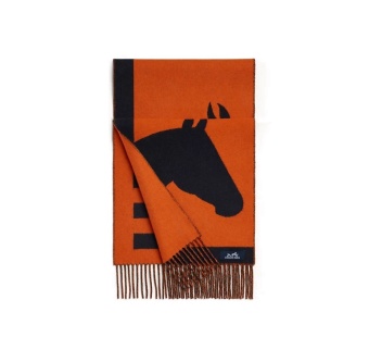Hermes scarf